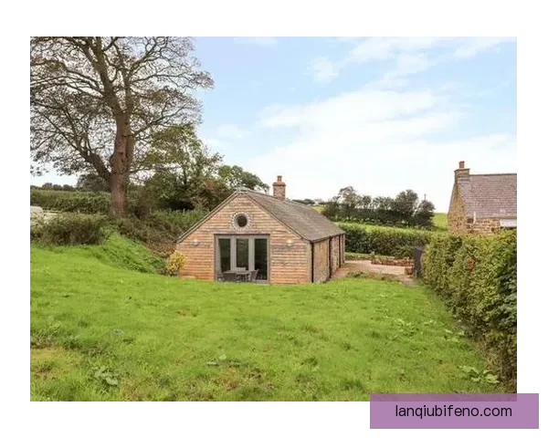 佩林科奇惜败霍利韦尔城 战况紧张场面激烈 双方角逐悬念不断